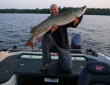 Andy H on 2005 620VS w Musky 8-1-13